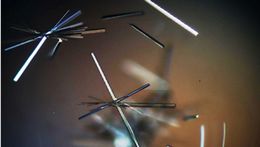Кристаллы термофильной BCAT-аминотрансферазы из <i>T.uzoniensis</i>. Фото: Алена&nbsp; Николаева
