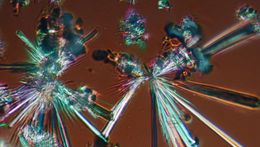 Кристаллы синтетического пептидного аналога соматостатина. Фото: Алена&nbsp; Николаева